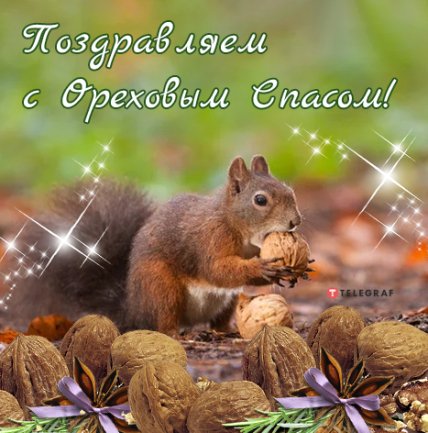 Поздравления с Ореховым Спасом 2022 открытки