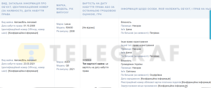 Декларація Ірини Никорак