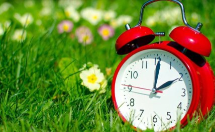 Механический будильник на лужайке