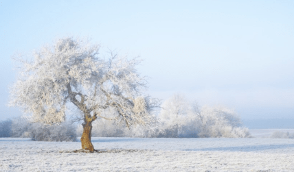 Яке церковне свято 23 січня 2025 - День вшанування пам'яті мученика Агатангела