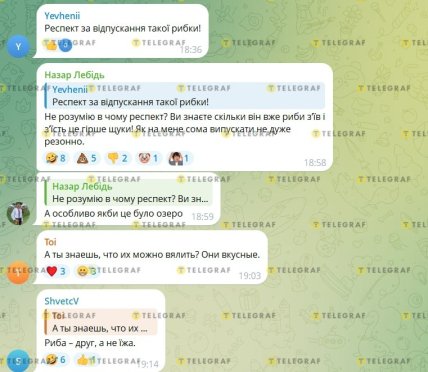 Рыбалка у моста Патона в Киеве поймал сома на 4 кг