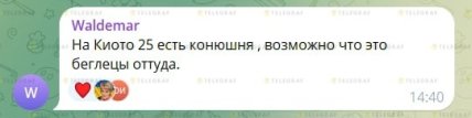 В комментариях под видео, где два коня бегали по трассе на Киев, предположили, что животные сбежали из конного клуба