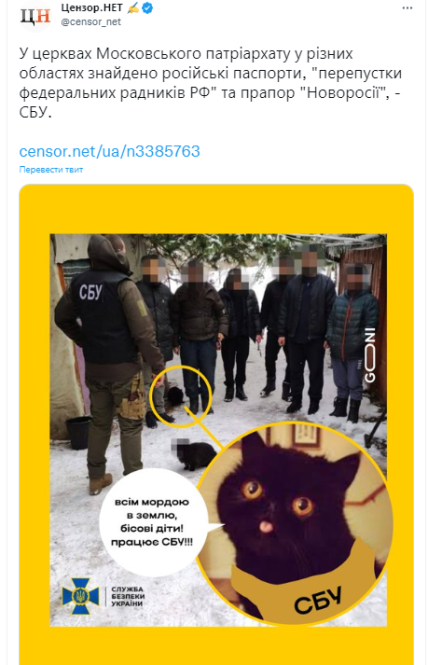 кот, СБУ, реакция