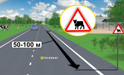 Что означает дорожный знак "Перегон скота"
