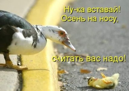 Открытки и поздравления с приходом осени