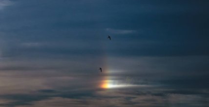 Солнечное гало над Днепром 28.06.2026
