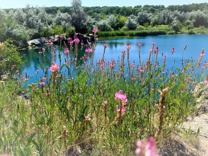 Кар’єр біля села Цибулеве у Кіровоградській області