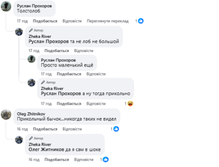 Коментарі у Facebook