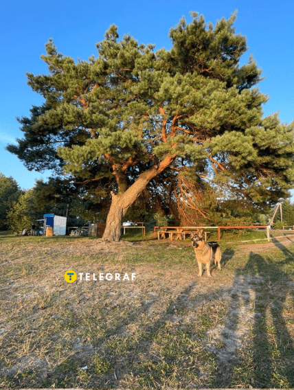 Озеро Велике Згоранське