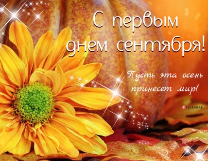 с первым днем осени с миром