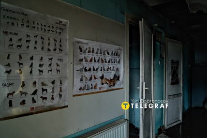 У Чабанах пошкоджено ветеринарну клініку