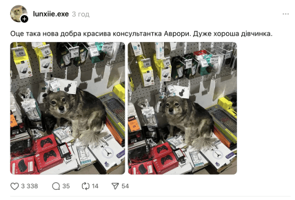 Собака в Авроре в Черкассах