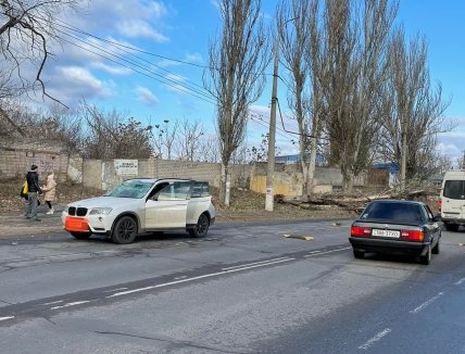 В Херсоне упало дерево