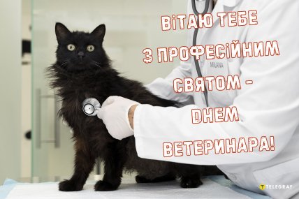 день ветеринара привітання листівки і картинки
