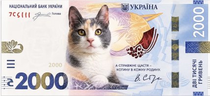 Банкнота с котом