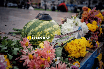 Звільнення Херсона, 2022 рік