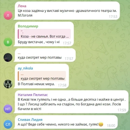 У коментарях про прогулянку кози знайшлося місце й жартам про міську владу
