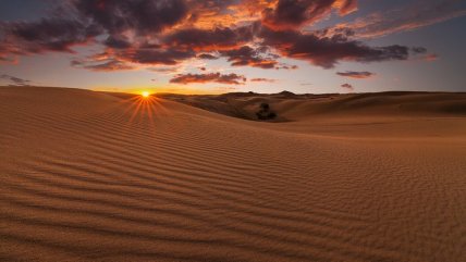 Олешківські піски