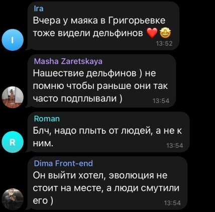 Дельфіни в Одесі плавають біля людей