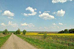 Село Пожежа