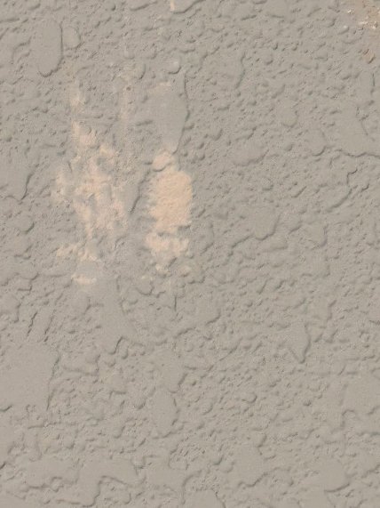 Тарас Шевченко