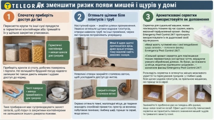 Герметичне зберігання продуктів і чистота на кухні зменшують доступ гризунів до їжі