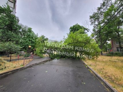 Буря в Киеве