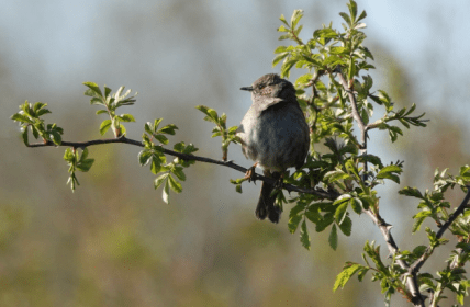 Какой церковный праздник 25 августа
