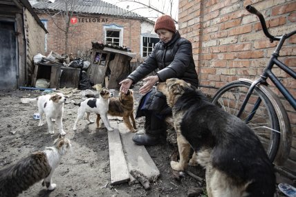 У Тетяни Георгіївни багато вусатих втішників