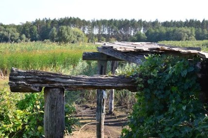 жахливий стан мосту