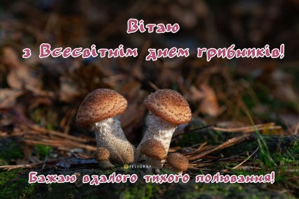 вітаю з днем грибника картинка