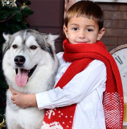 Яна Клочкова устроила новогоднюю фотосессию с сыном (ФОТО) - изображение №1