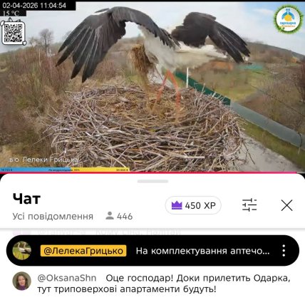 лелека носить сіно