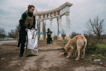 Фото зооволонтеры кормят животных в Херсоне