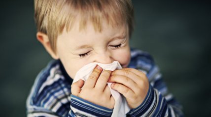 эпидемия кори украина