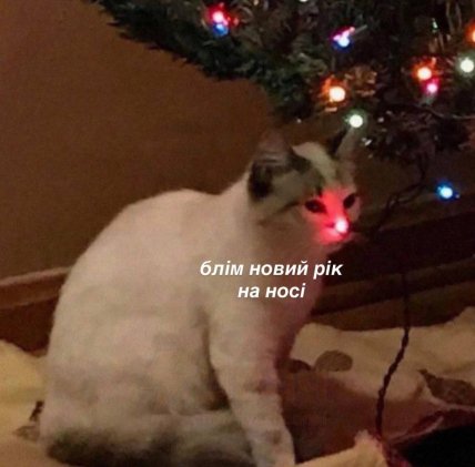 Мем о Новом году с котиком