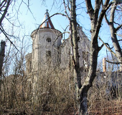 В Винницкой области нашли руины дворца, владельцы которого до сих пор неизвестны