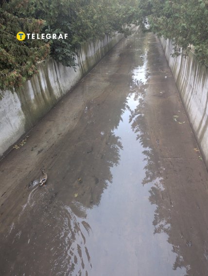 Річка Рудка рідко наповнюється водою