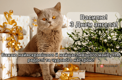 вася з днем ангела вітаю