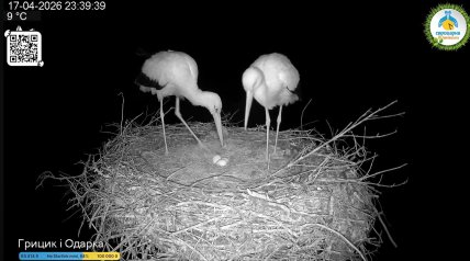 Грицик та Одарка