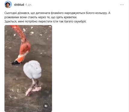 Пост в соцмережі