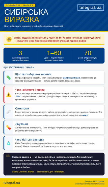 Сибірська виразка. Інфографіка — Телеграф
