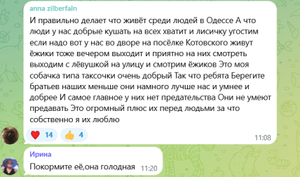 Лиса на Одесчине отдыхала на камнях — комментарии