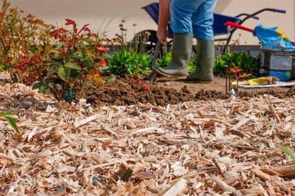 Мульчування