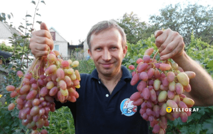 Виноград Преображение