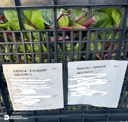 У вантажі мангольду виявили шкідника