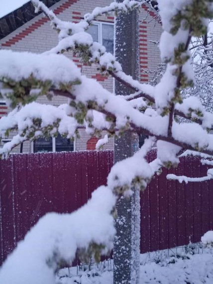 Сніг в Україні наприкінці квітня 2026