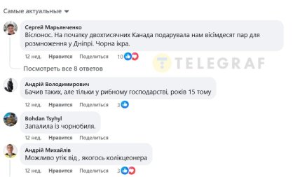 Коментарі під публікацією