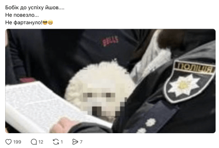 Мемы о собаке с заблюренной мордой