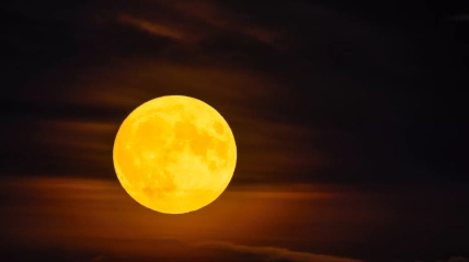 Бобровая Луна 5 ноября 2025